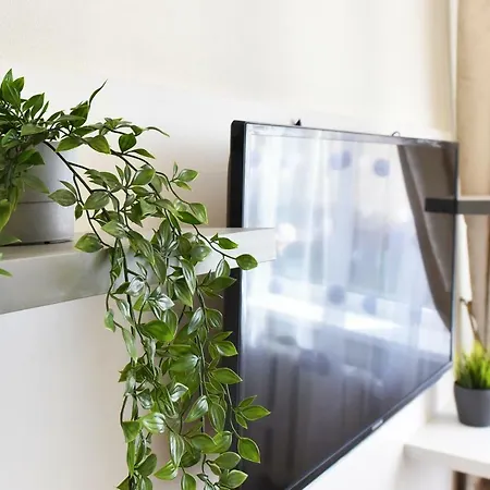 Baltieji Senamiescio Apartamentai Prie Aqua Parko