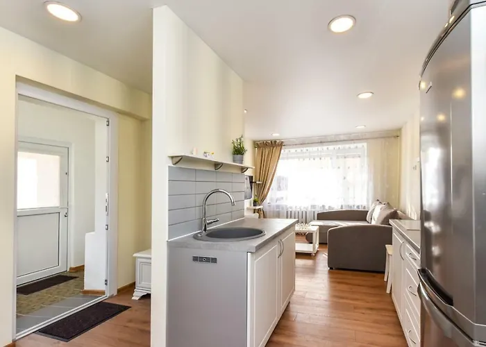 Baltieji Senamiescio Apartamentai Prie Aqua Parko Apartament