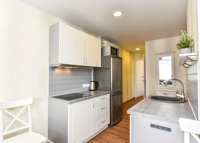 Apartament Baltieji Senamiescio Apartamentai Prie Aqua Parko Druskieniki